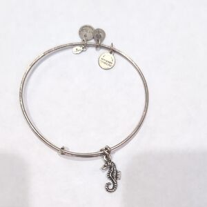 Alex and Ani Silver Charm Bracelets
